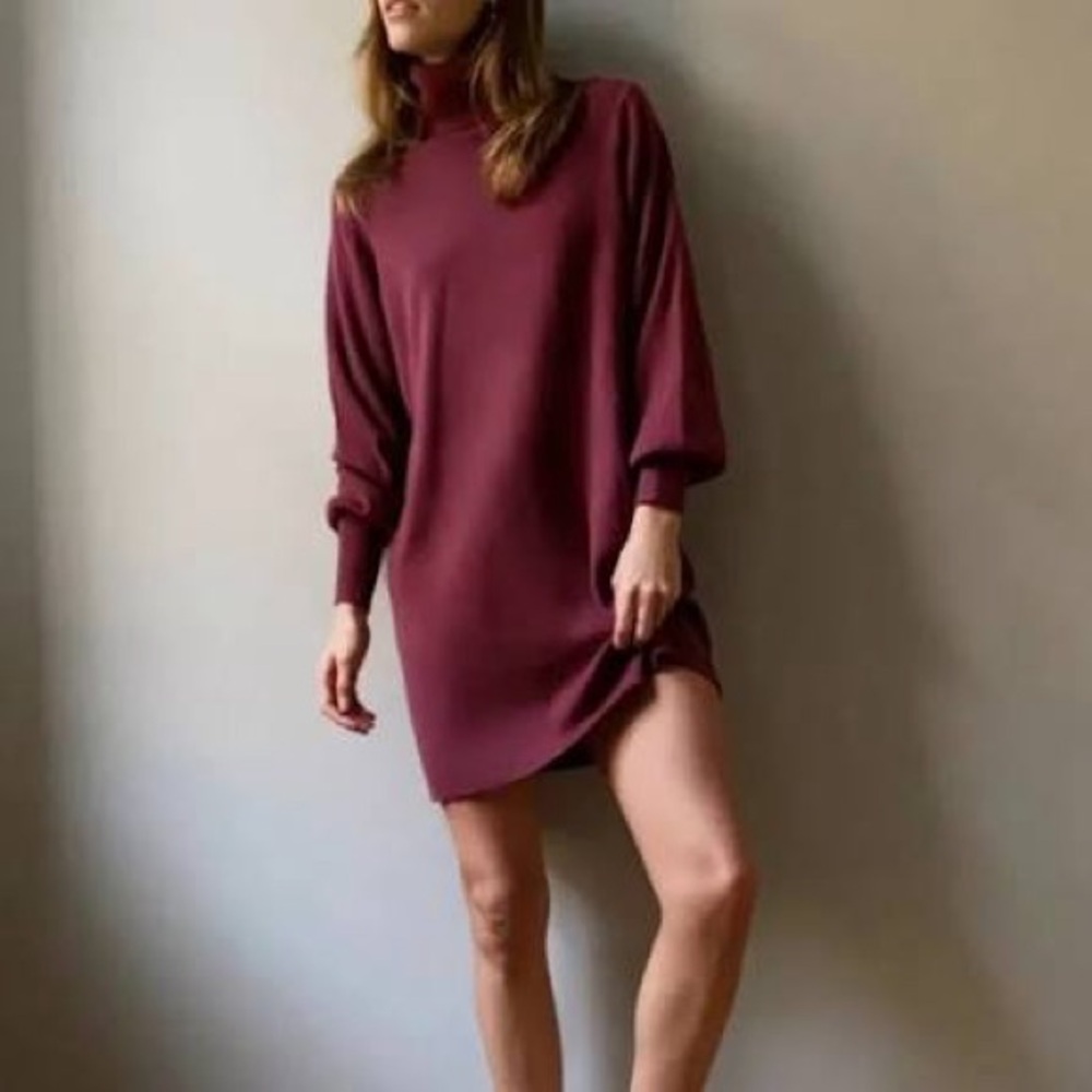Aritzia Wilfred Plum Long Sleeve Merino Wool Blend Turtleneck Sweater Dress